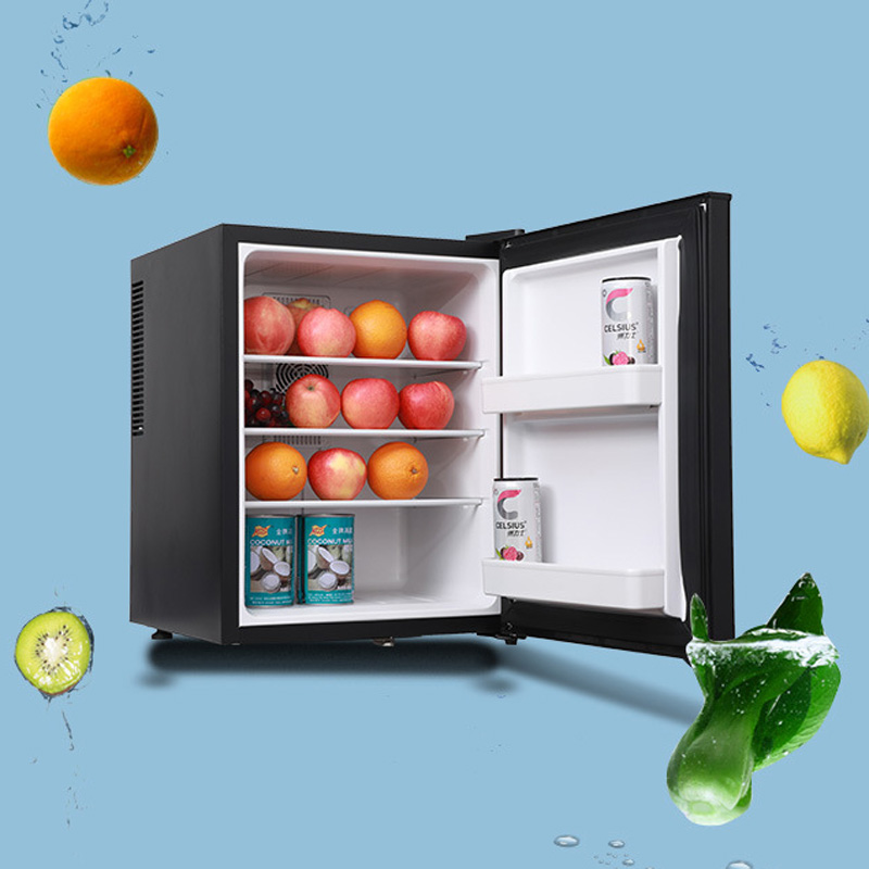 Mini Fridge Cooler 40L Refrige - Wine Beer Cooler Fridge review and price