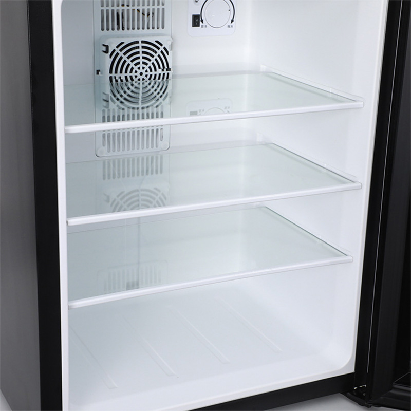 Mini Fridge Cooler 40L Refrige - Wine Beer Cooler Fridge review and price