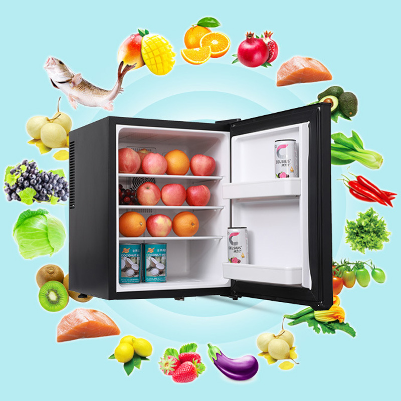 Mini Fridge Cooler 40L Refrige - Wine Beer Cooler Fridge review and price