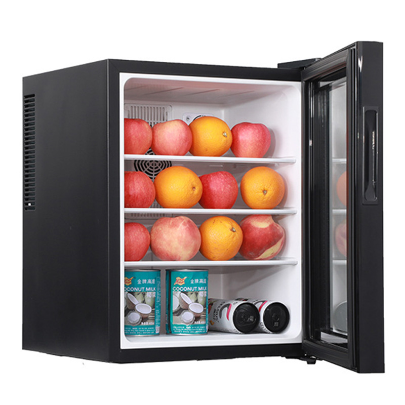Mini Fridge Cooler 40L Refrige - Wine Beer Cooler Fridge review and price